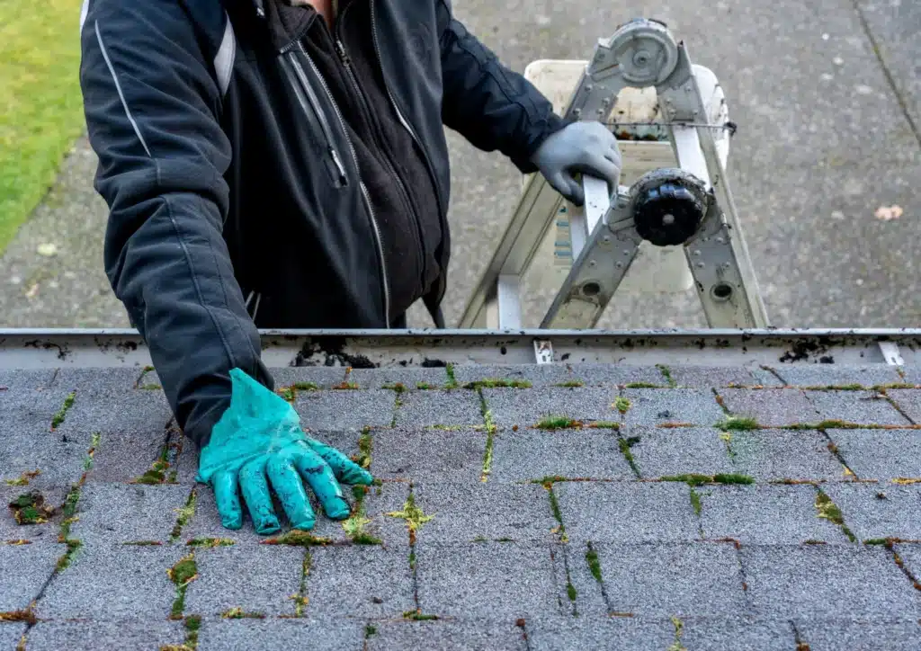 Entretien de toiture avec enlèvement de la mousse et des débris pour prolonger la durée de vie des tuiles. ​​